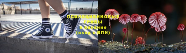 прущая мука Краснослободск