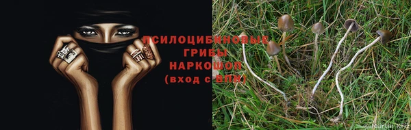 a pvp Куйбышев